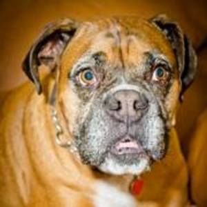 Meet your Posher, Gail